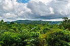 Intakter Regenwaldflächen in Costa Rica