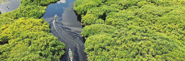 Boote fahren auf Fluss durch noch intakte Mangroven- und Regenwälder