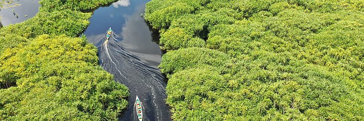 Boote fahren auf Fluss durch noch intakte Mangroven- und Regenwälder