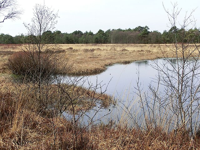 Ausblick auf das Hamberger Moor