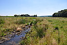 Fläche eines Niedermoors in Bayern im Sonnenschein