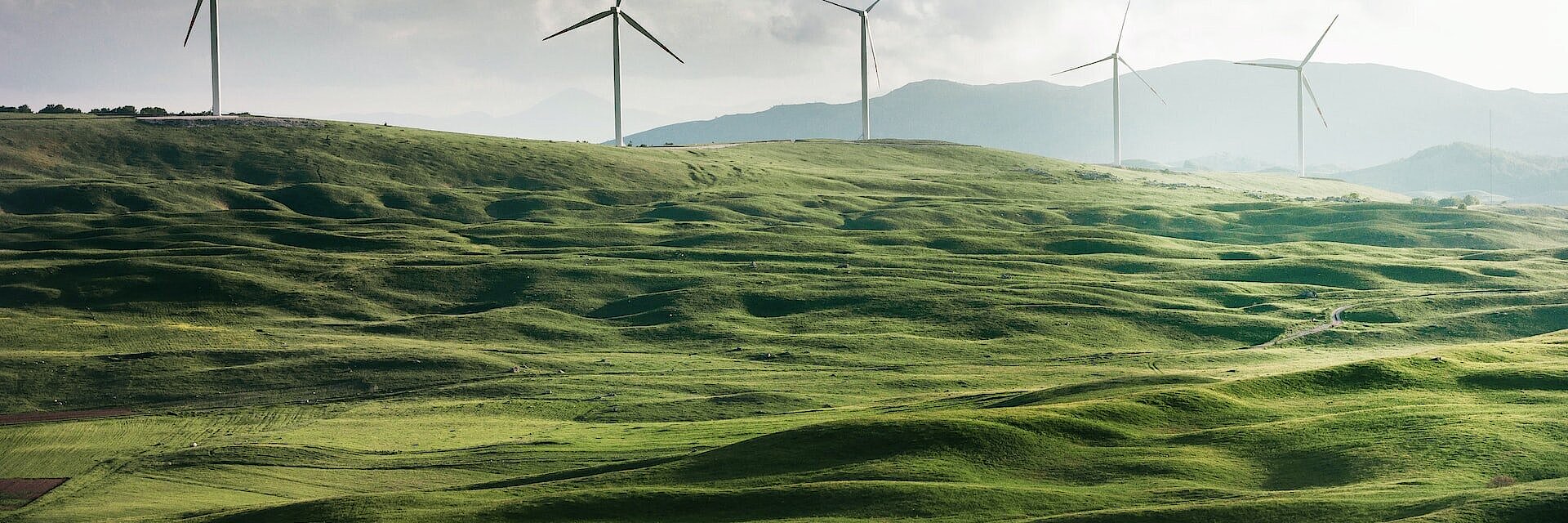 Blick auf Windrädern hinter Ackerflächen